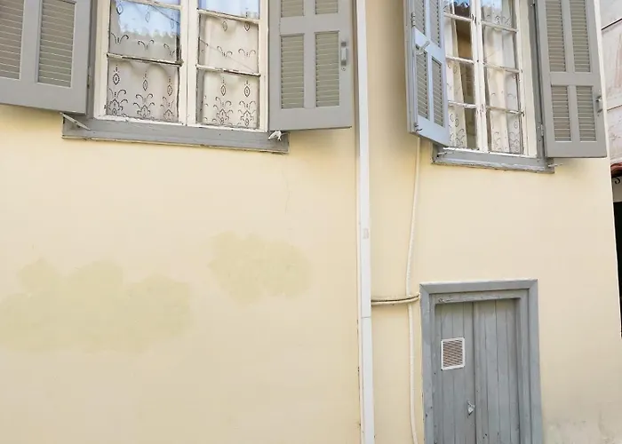 Flora In Nafplia *